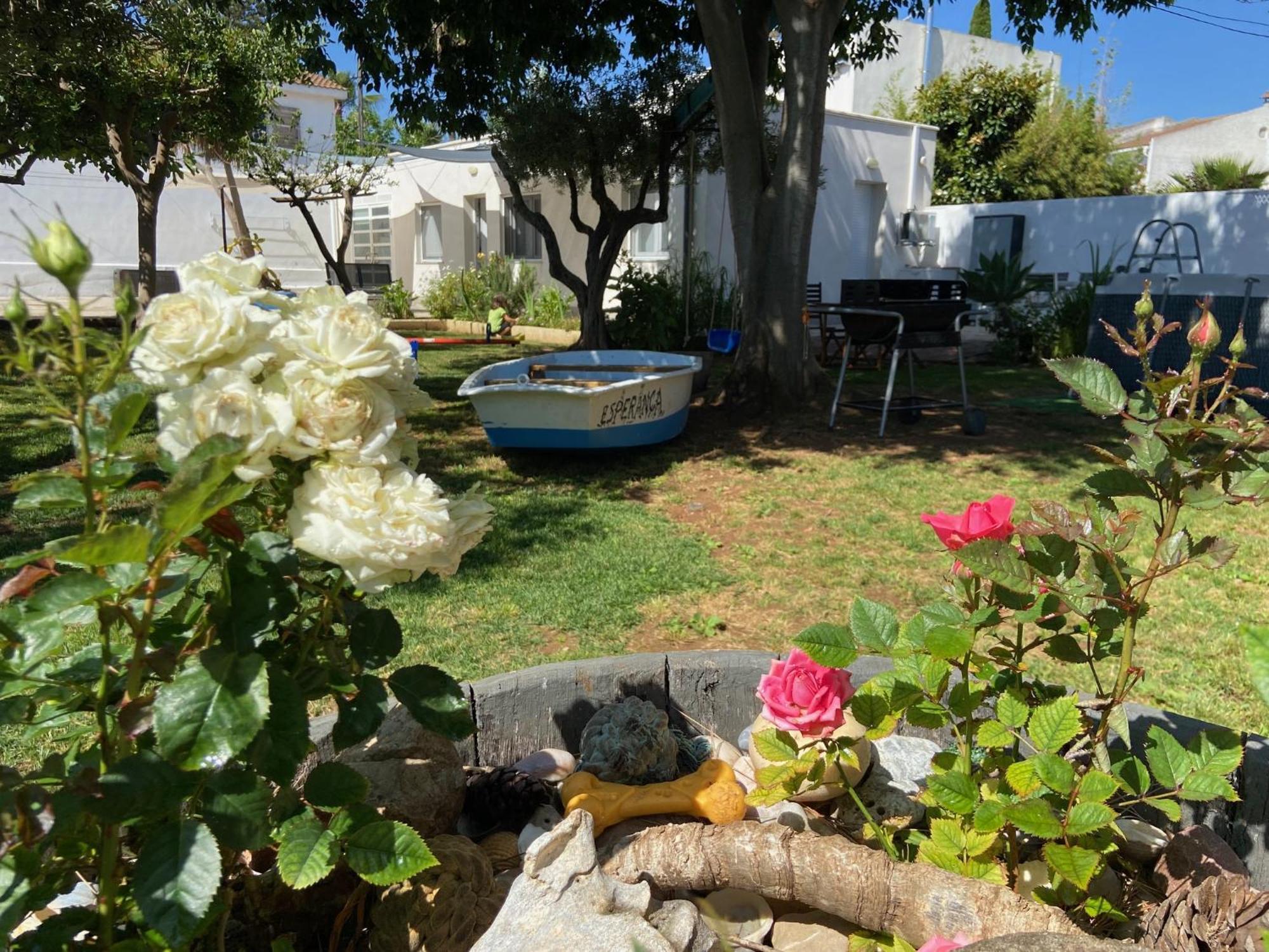 La Senia